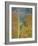 Aspen Trees Gothic Valley-Donald Paulson-Framed Giclee Print