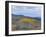 Aspen Trees in a Forest, Boulder Mountain, Utah, Usa-null-Framed Photographic Print