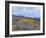 Aspen Trees in a Forest, Boulder Mountain, Utah, Usa-null-Framed Photographic Print