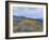 Aspen Trees in a Forest, Boulder Mountain, Utah, Usa-null-Framed Photographic Print