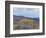 Aspen Trees in a Forest, Boulder Mountain, Utah, Usa-null-Framed Photographic Print