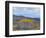 Aspen Trees in a Forest, Boulder Mountain, Utah, Usa-null-Framed Photographic Print