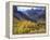 Aspen Trees in Autumn Color in the Mcgee Creek Area, Sierra Nevada Mountains, California, USA-Christopher Talbot Frank-Framed Premier Image Canvas