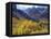 Aspen Trees in Autumn Color in the Mcgee Creek Area, Sierra Nevada Mountains, California, USA-Christopher Talbot Frank-Framed Premier Image Canvas