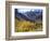 Aspen Trees in Autumn Color in the Mcgee Creek Area, Sierra Nevada Mountains, California, USA-Christopher Talbot Frank-Framed Photographic Print