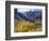 Aspen Trees in Autumn Color in the Mcgee Creek Area, Sierra Nevada Mountains, California, USA-Christopher Talbot Frank-Framed Photographic Print