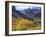 Aspen Trees in Autumn Color in the Mcgee Creek Area, Sierra Nevada Mountains, California, USA-Christopher Talbot Frank-Framed Photographic Print