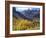 Aspen Trees in Autumn Color in the Mcgee Creek Area, Sierra Nevada Mountains, California, USA-Christopher Talbot Frank-Framed Photographic Print