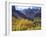 Aspen Trees in Autumn Color in the Mcgee Creek Area, Sierra Nevada Mountains, California, USA-Christopher Talbot Frank-Framed Photographic Print