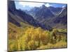 Aspen Trees in Autumn Color in the Mcgee Creek Area, Sierra Nevada Mountains, California, USA-Christopher Talbot Frank-Mounted Photographic Print