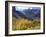 Aspen Trees in Autumn Color in the Mcgee Creek Area, Sierra Nevada Mountains, California, USA-Christopher Talbot Frank-Framed Photographic Print