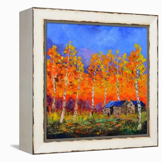 Aspen Trees in Autumn-Pol Ledent-Framed Stretched Canvas