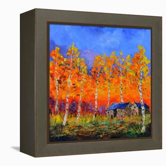 Aspen Trees in Autumn-Pol Ledent-Framed Stretched Canvas