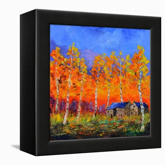 Aspen Trees in Autumn-Pol Ledent-Framed Stretched Canvas