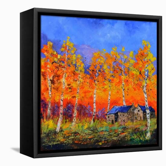Aspen Trees in Autumn-Pol Ledent-Framed Stretched Canvas