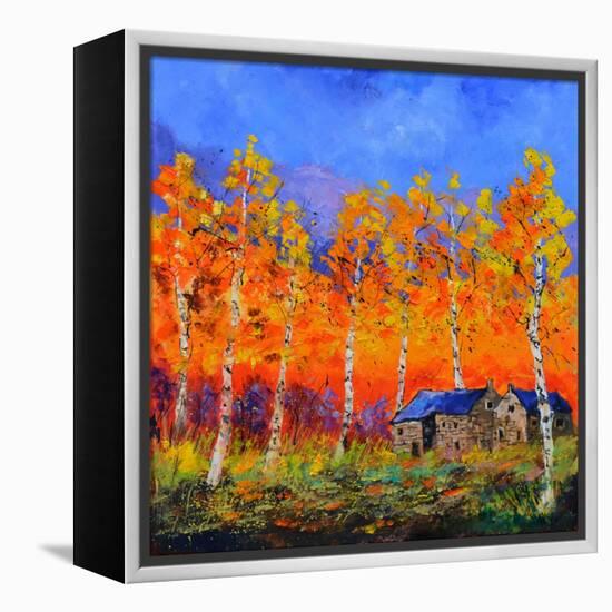 Aspen Trees in Autumn-Pol Ledent-Framed Stretched Canvas