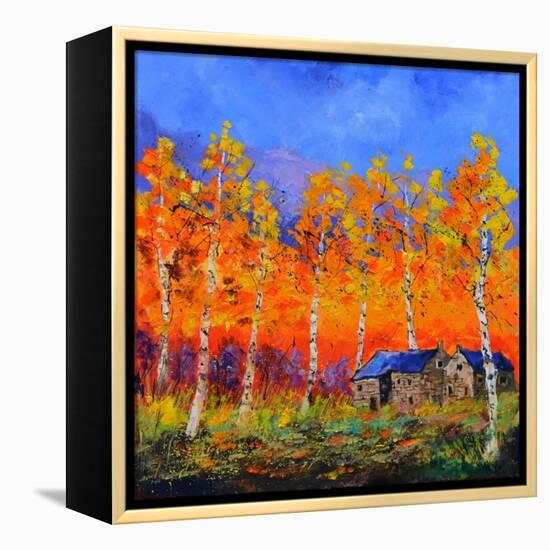 Aspen Trees in Autumn-Pol Ledent-Framed Stretched Canvas