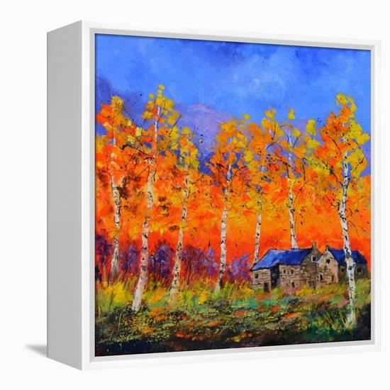 Aspen Trees in Autumn-Pol Ledent-Framed Stretched Canvas