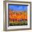 Aspen Trees in Autumn-Pol Ledent-Framed Art Print