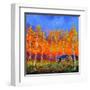 Aspen Trees in Autumn-Pol Ledent-Framed Art Print