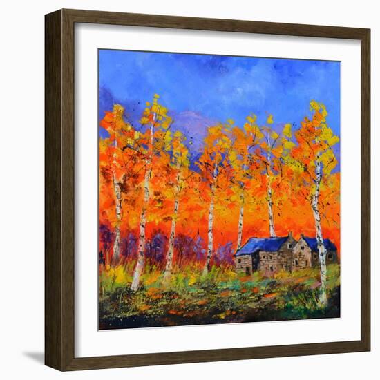 Aspen Trees in Autumn-Pol Ledent-Framed Art Print