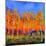 Aspen Trees in Autumn-Pol Ledent-Mounted Art Print