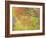 Aspen Trees IV-Donald Paulson-Framed Giclee Print