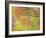 Aspen Trees IV-Donald Paulson-Framed Giclee Print