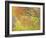 Aspen Trees IV-Donald Paulson-Framed Giclee Print