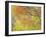 Aspen Trees IV-Donald Paulson-Framed Giclee Print