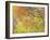 Aspen Trees IV-Donald Paulson-Framed Giclee Print