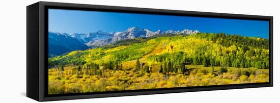 Aspen Trees on Mountains, Uncompahgre National Forest, Colorado, USA-null-Framed Stretched Canvas