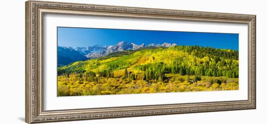 Aspen Trees on Mountains, Uncompahgre National Forest, Colorado, USA-null-Framed Photographic Print