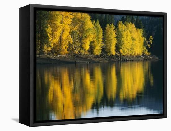 Aspen trees, Patterson Lake, Methow Valley, Washington, USA-Charles Gurche-Framed Premier Image Canvas