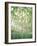 Aspen Trees, View From Below-null-Framed Photographic Print