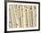 Aspen Trees, White River National Forest Colorado, USA-Charles Gurche-Framed Photographic Print