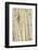 Aspen Trees, White River National Forest Colorado, USA-Charles Gurche-Framed Photographic Print