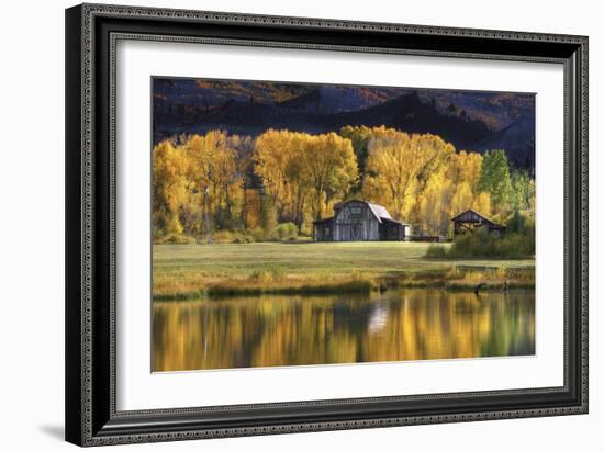 Aspen Trees with Barn-Jamie Cook-Framed Giclee Print