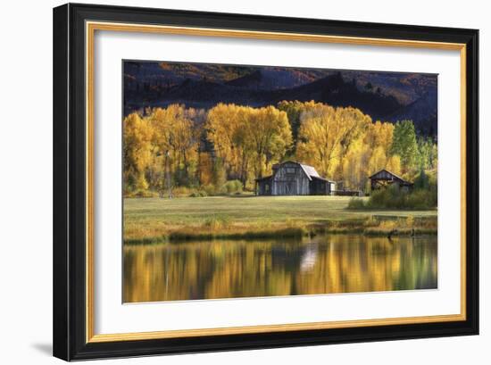 Aspen Trees with Barn-Jamie Cook-Framed Giclee Print