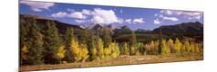 Photographic Print