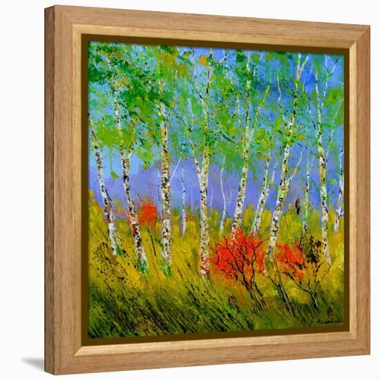 Aspen Trees-Pol Ledent-Framed Stretched Canvas