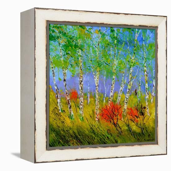 Aspen Trees-Pol Ledent-Framed Stretched Canvas