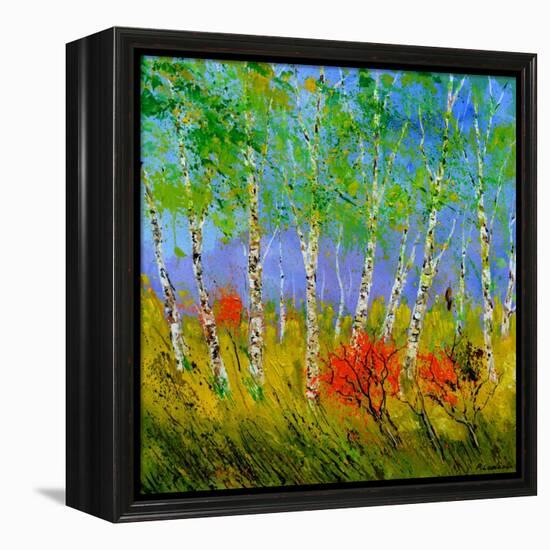 Aspen Trees-Pol Ledent-Framed Stretched Canvas