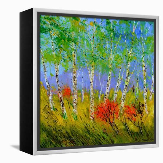 Aspen Trees-Pol Ledent-Framed Stretched Canvas