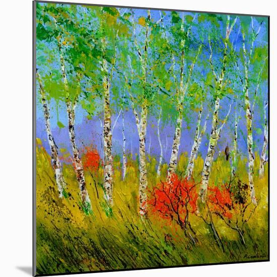 Aspen Trees-Pol Ledent-Mounted Art Print