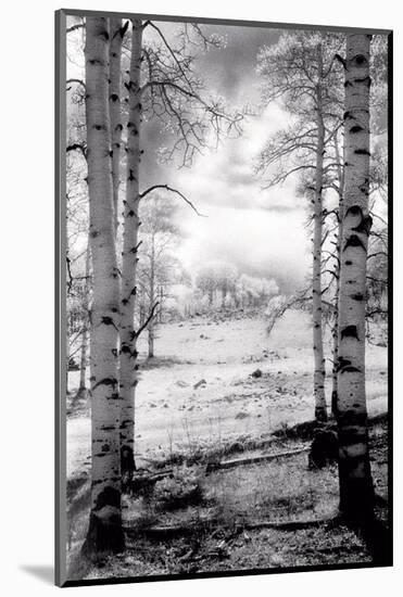 Aspen Vista-Scott Peck-Mounted Art Print