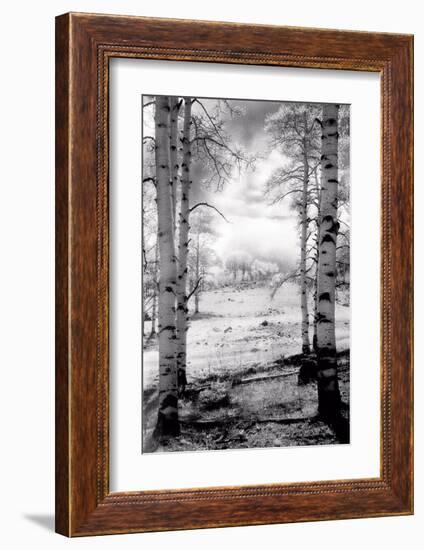 Aspen Vista-Scott Peck-Framed Art Print