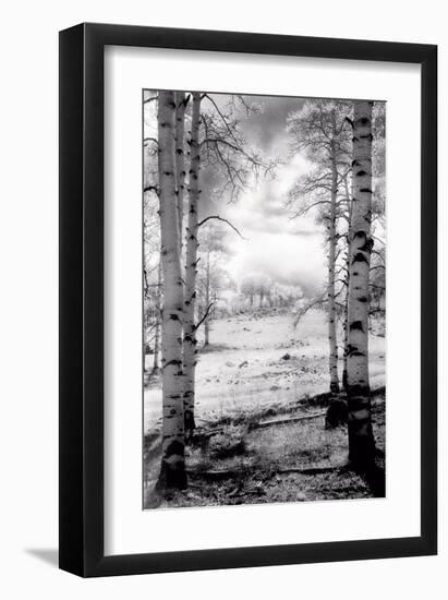 Aspen Vista-Scott Peck-Framed Art Print