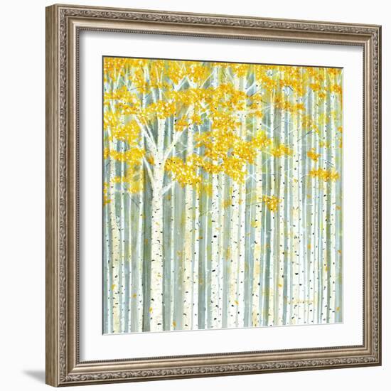 Aspen World-Herb Dickinson-Framed Photographic Print