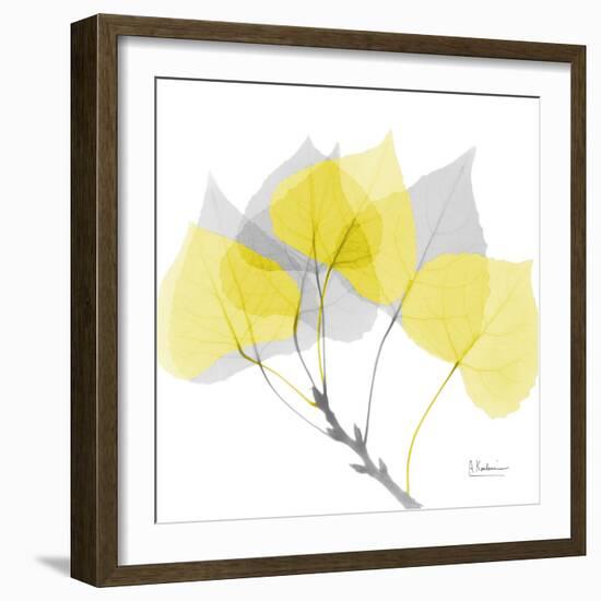 Aspen Yellow Gray-Albert Koetsier-Framed Photographic Print